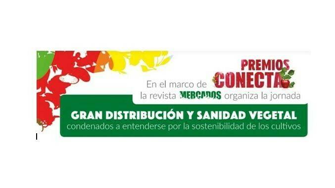 mercados sobre w (2)